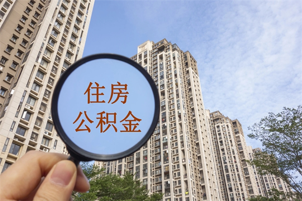 邹平帮取离职公积金（帮忙取公积金怎么收费）